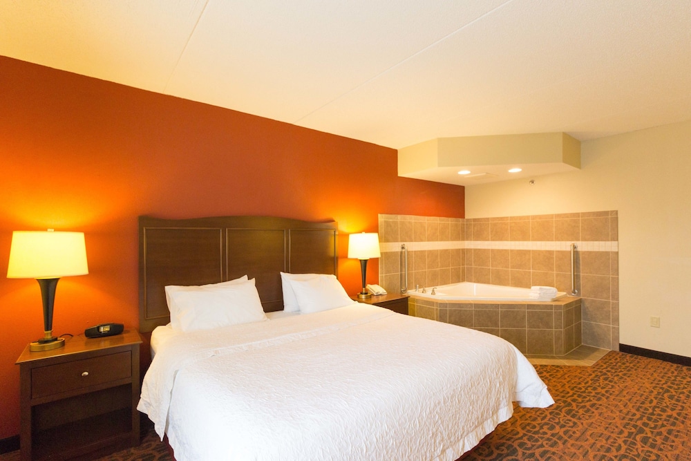 Hampton Inn Columbus South - photo 18