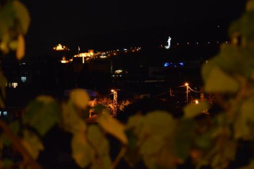 Terrace Mtatsminda