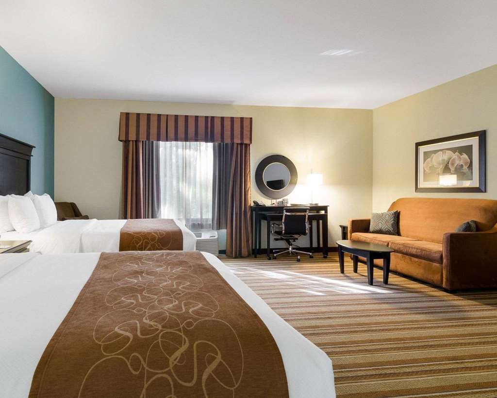 Comfort Suites Topeka Northwest - photo 14