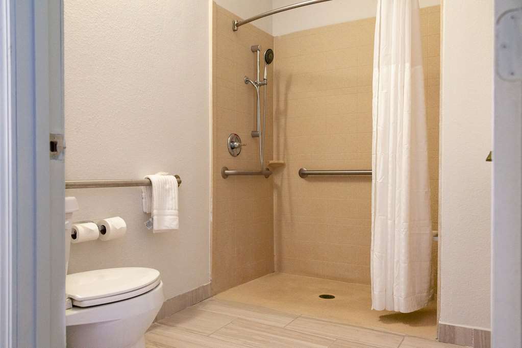 Comfort Suites Baton Rouge South I 10 - photo 8