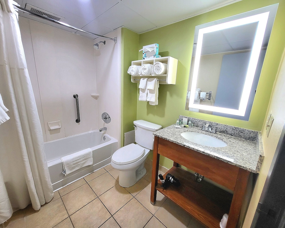 The Barclay Towers Resort Hotel - photo 18