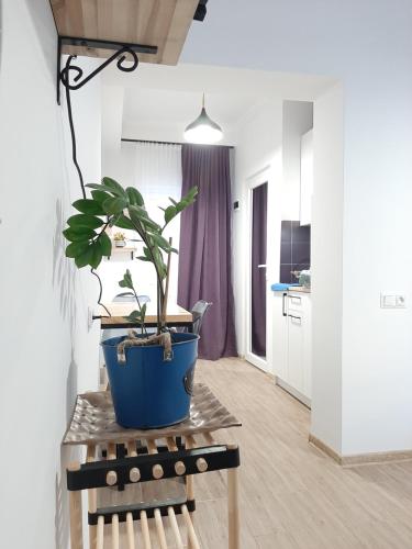 Style Apartment with Courtyard