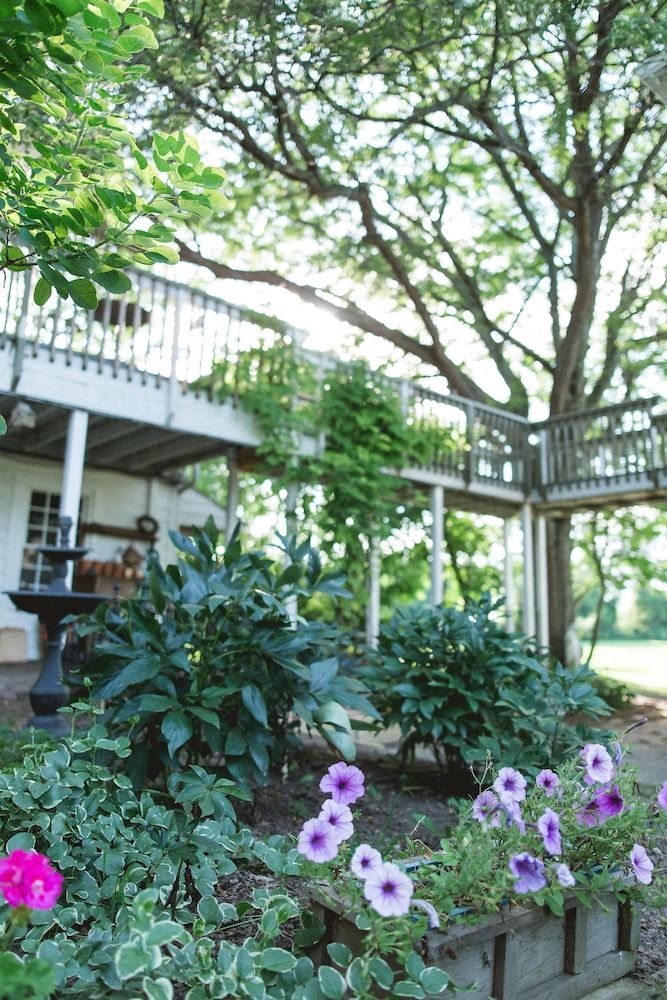 Orchard House Bed & Breakfast - photo 2