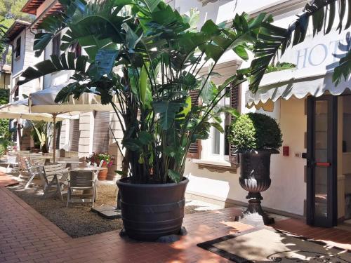Hotel Tirreno — hotel in Rosignano Marittimo