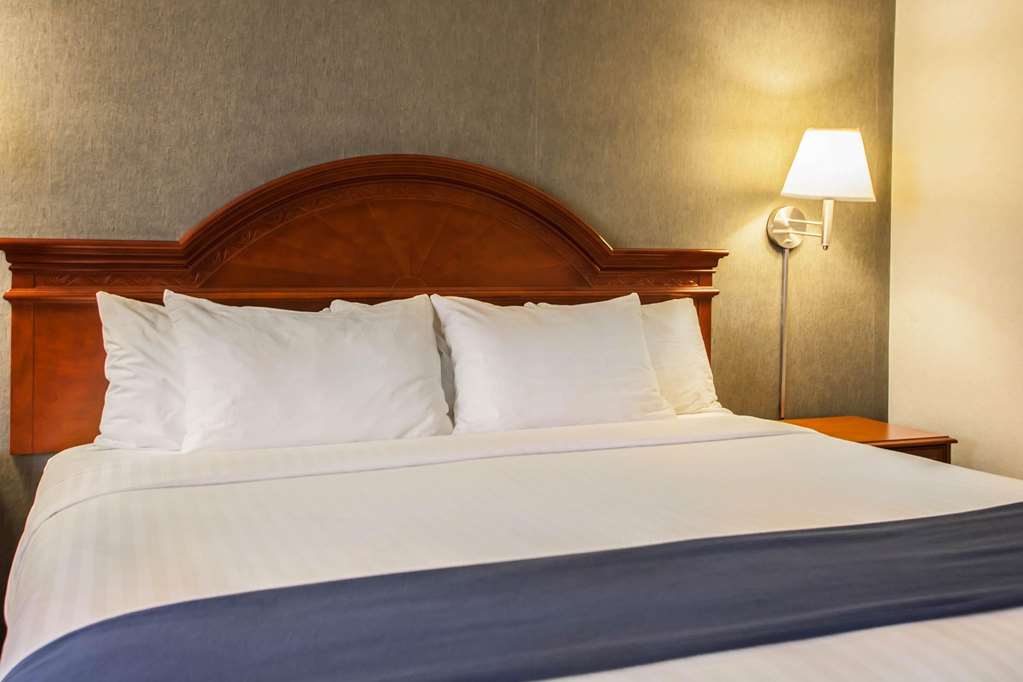 Quality Inn and Suites St Charles West Chicago - photo 11