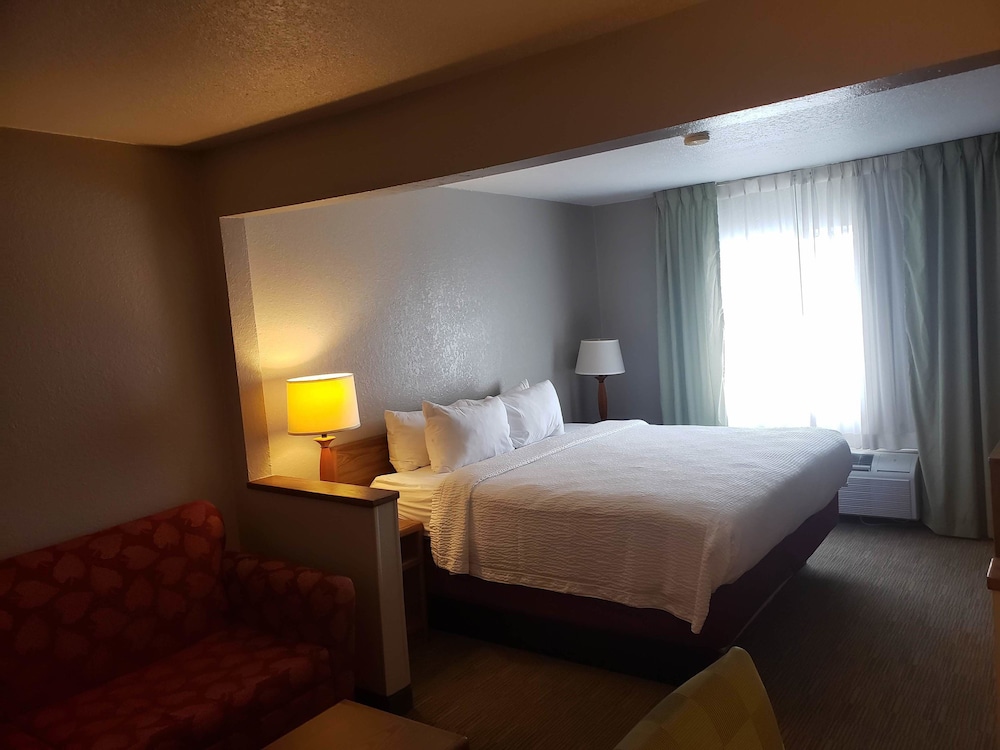 Country Inn & Suites by Radisson Fairview Heights IL - photo 28