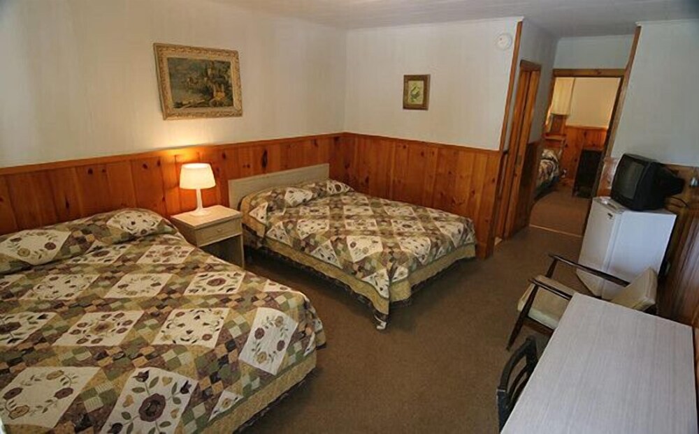 Lee's Motel and Cottages - photo 8