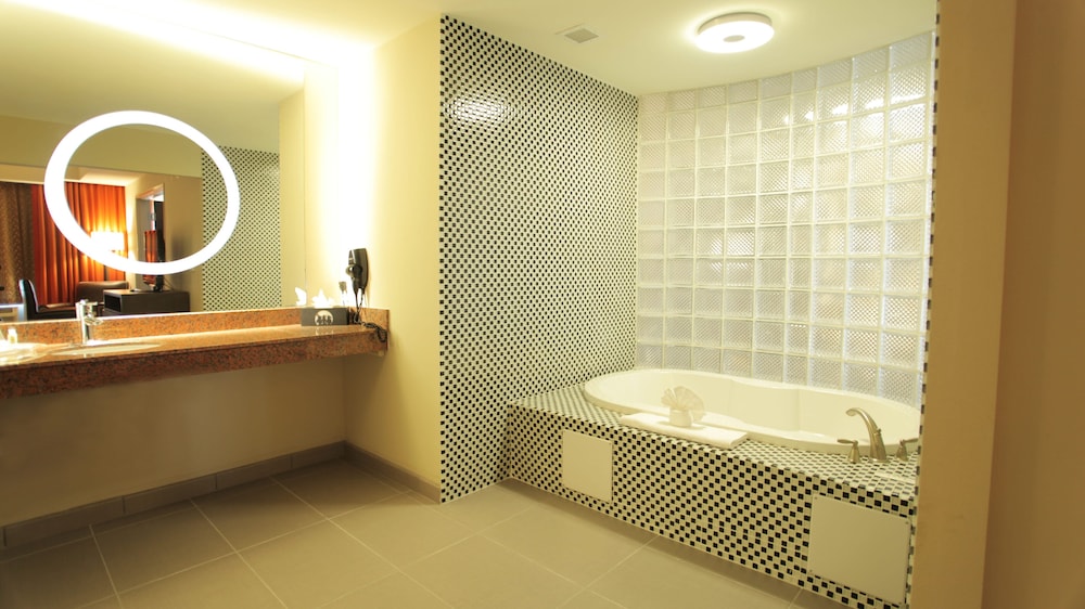 Holiday Inn Amarillo West Medical Center by IHG - photo 20