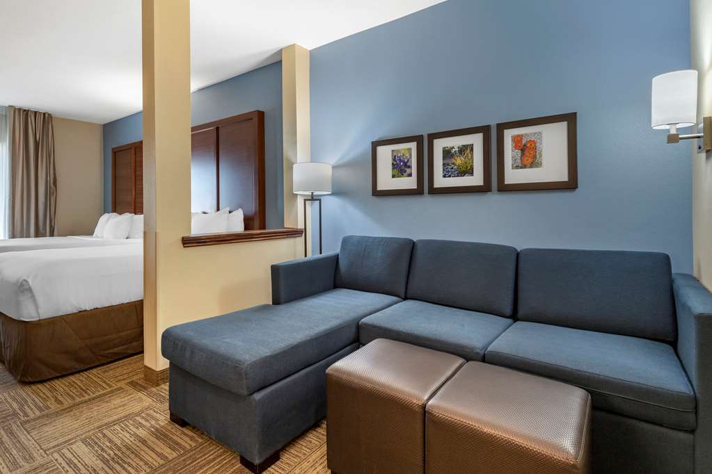 Comfort Suites Cedar Park Austin Northwest - photo 26