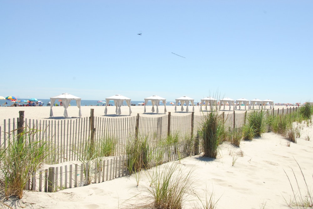 Grand Hotel of Cape May - photo 56
