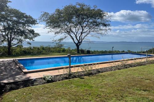 El nido del tucán in Unknown City, Panama