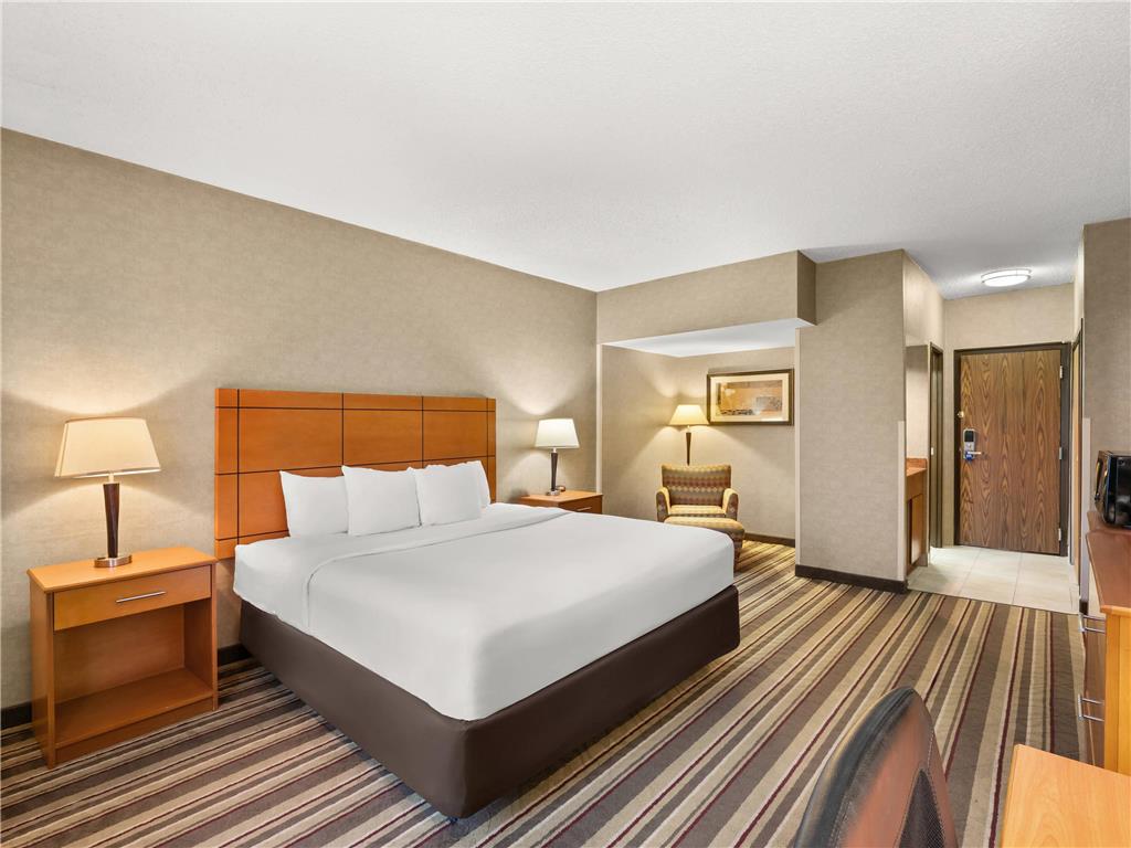 Comfort Inn Metro Airport - photo 32