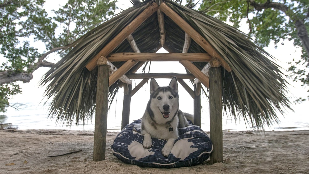 Baker's Cay Resort Key Largo Curio Collection by Hilton - photo 52