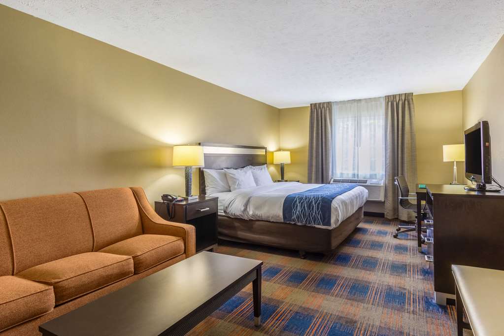 Comfort Inn Independence Cleveland - photo 15