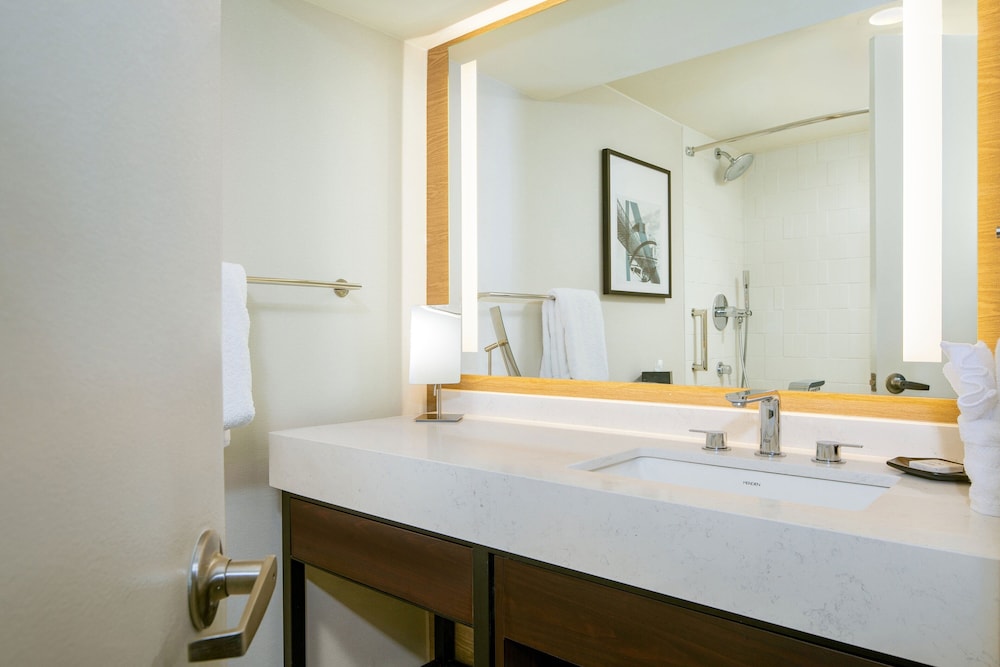 Sheraton Detroit Metro Airport - photo 19
