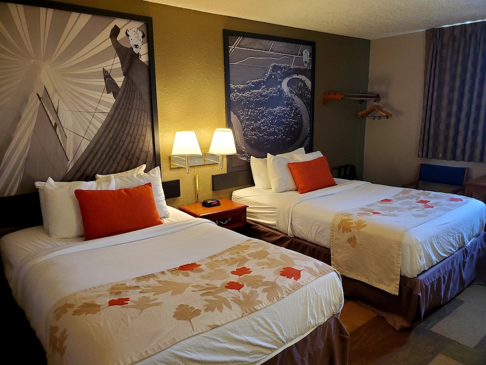 Bison Plains Lodge - photo 4