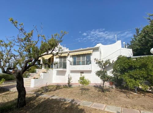 Yogargano - last minute hotel in Unknown City