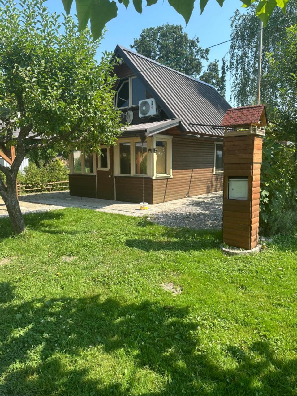 Močvirski Tulipan in Ljubljana, Slovenia