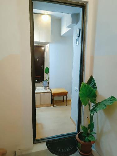 New apartment BARNABA close to Holiday Inn