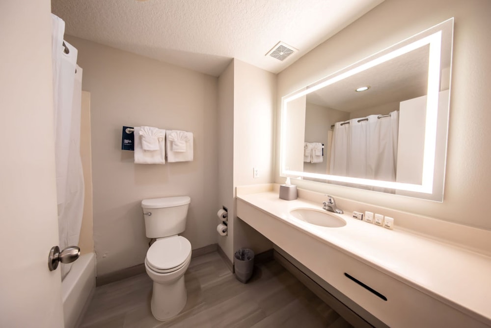 Holiday Inn Express Clermont Se West Orlando - photo 25