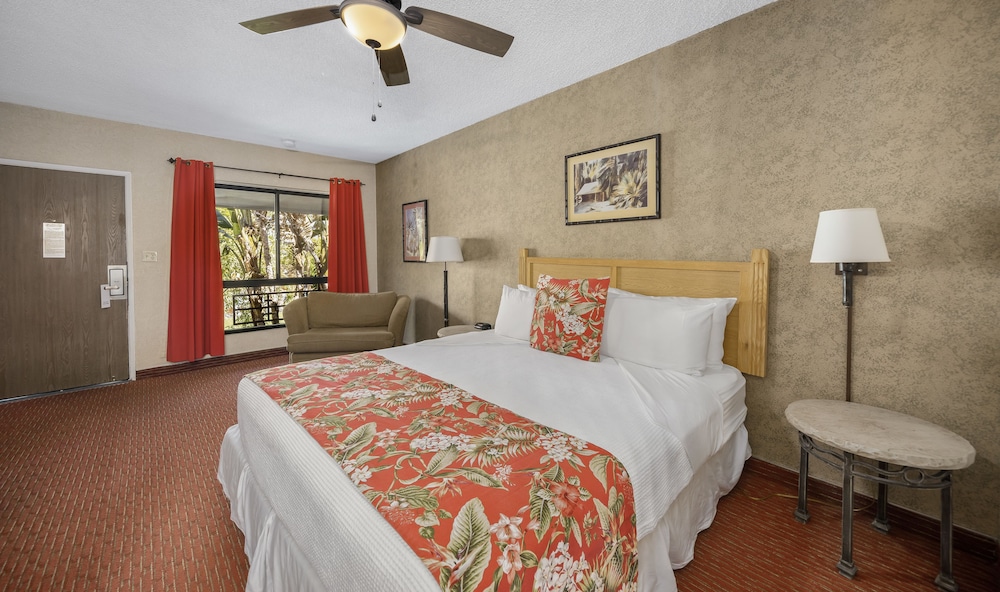 Caliente Tropics Hotel - photo 13