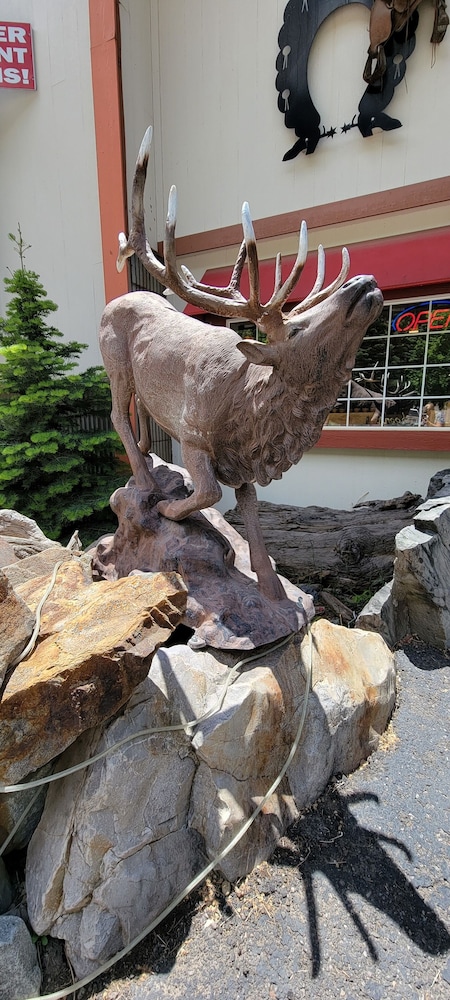 Hot Springs Inn - photo 88