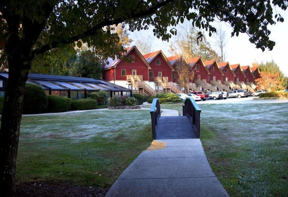 Loreley Resort - photo 19
