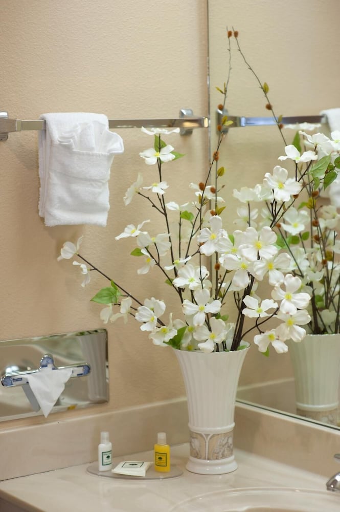 Calipatria Inn And Suites - photo 16