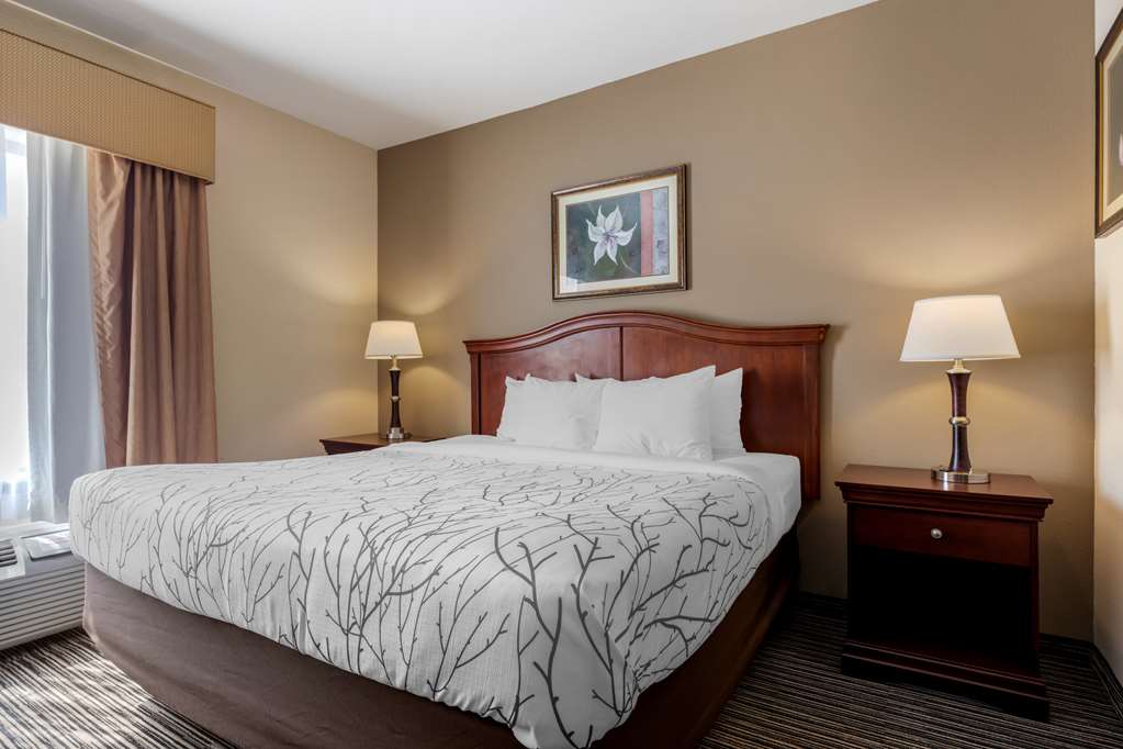 Best Western Plus Sweetwater Inn & Suites - photo 18
