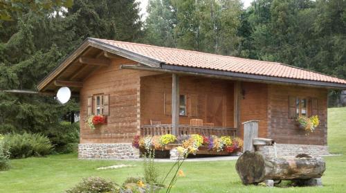 Ferienhaus Bärenhöhle — hotel in Spiegelau