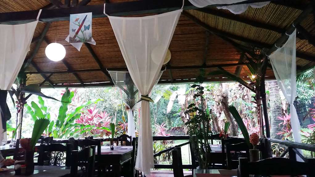 Hotel Kokoro Mineral Hot Springs — La Fortuna — photo 5
