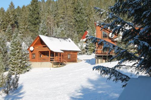 Oryavchik Country House 19437956 — Skole