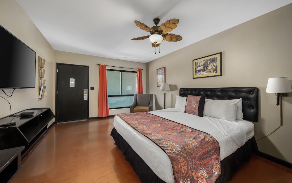 Caliente Tropics Hotel - photo 12