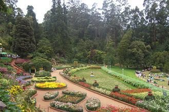 WelcomHeritage Regency Villas Palace