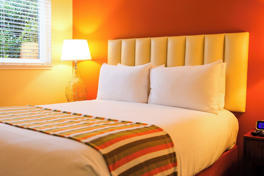 Hotel Del Sol - photo 14