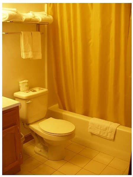 Red Carpet Inn Wind Gap - photo 8