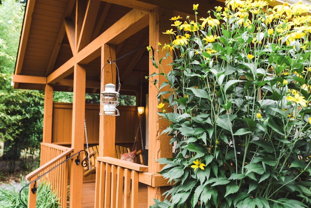 Carson Ridge Luxury Cabins - photo 53