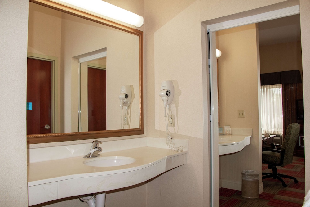 Hampton Inn & Suites Roswell - photo 23