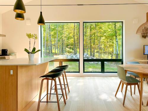 Modern Retreat with Sauna between Stowe and Waterbury in Waterbury, United States