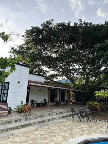 El origen in Roldanillo, Colombia