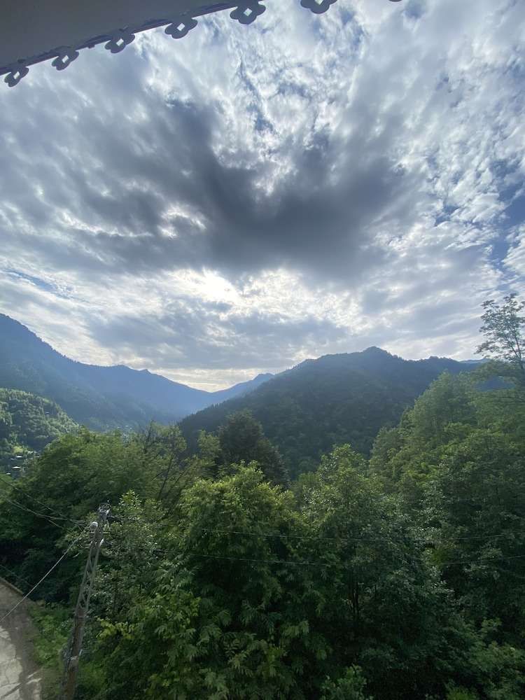 Leyli Comfort — Rize — photo 2