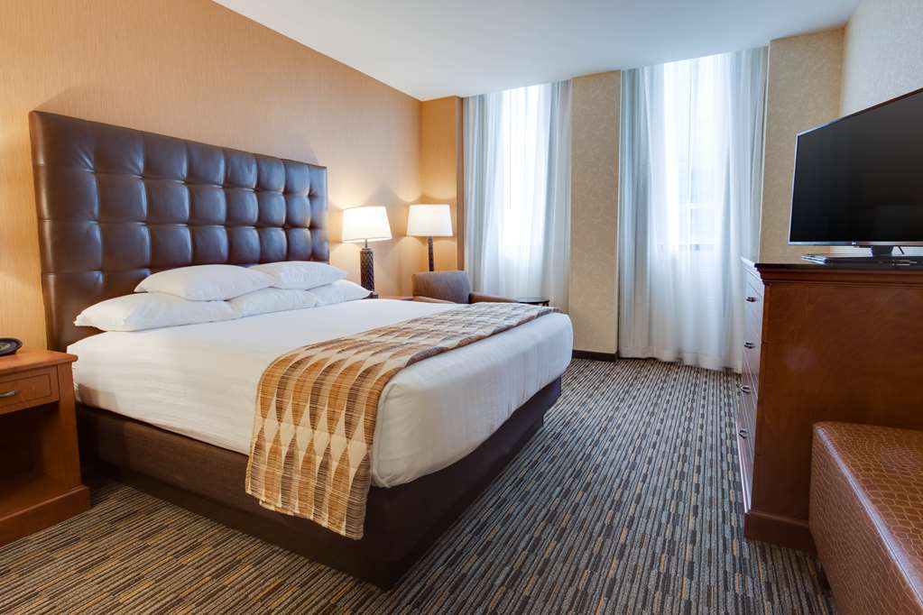 Drury Plaza Hotel St. Louis at the Arch - photo 13