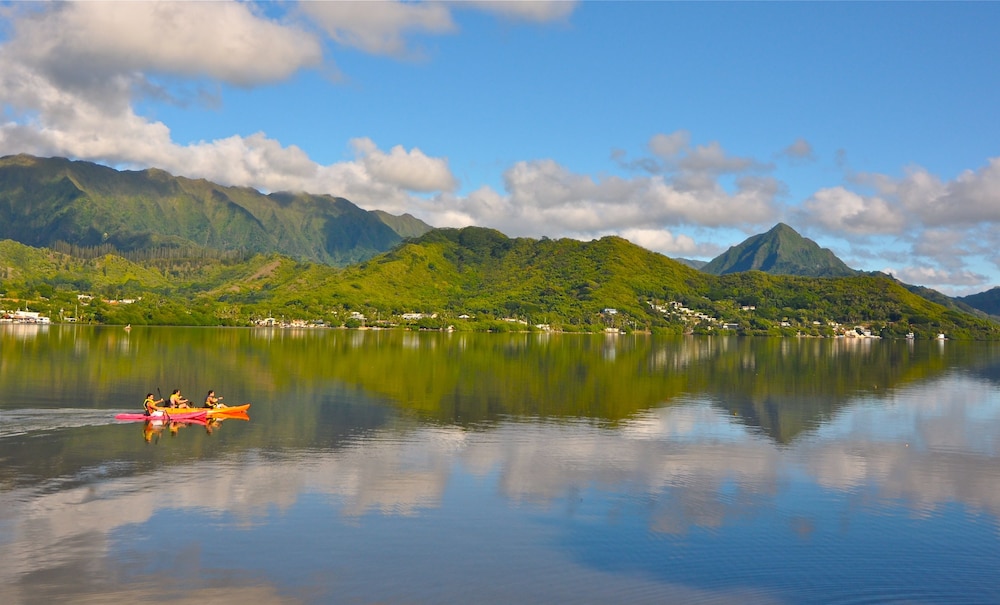 Paradise Bay Resort - photo 58