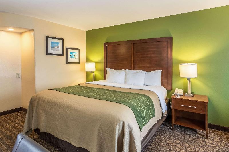 Comfort Inn & Suites Panama City North - photo 12