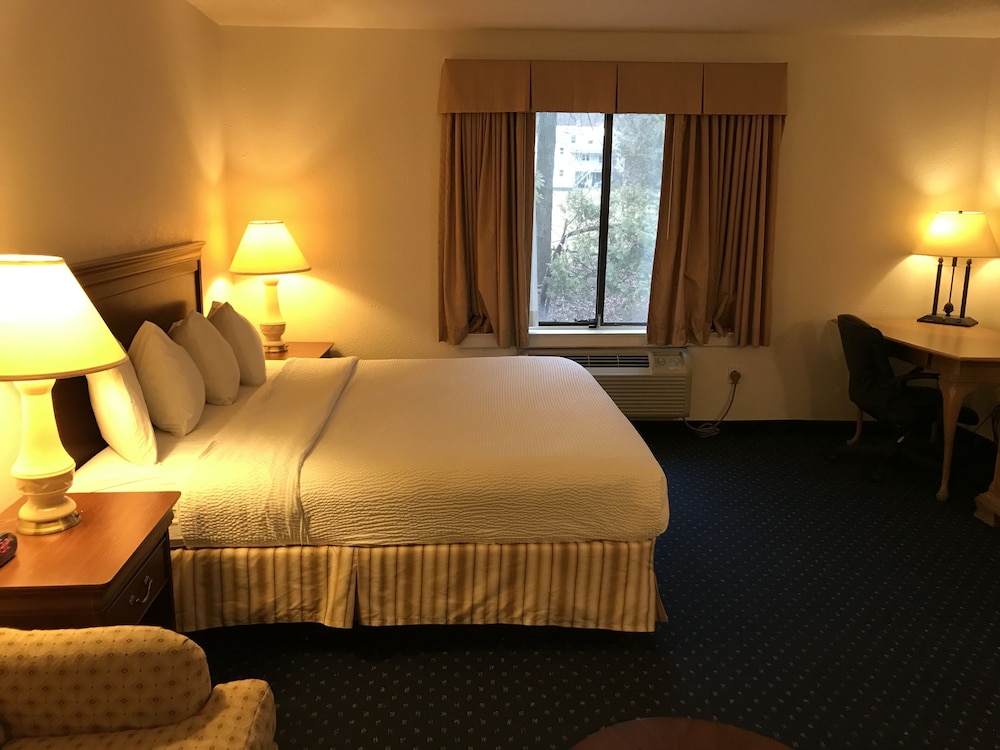 Rosemont Suites - photo 6