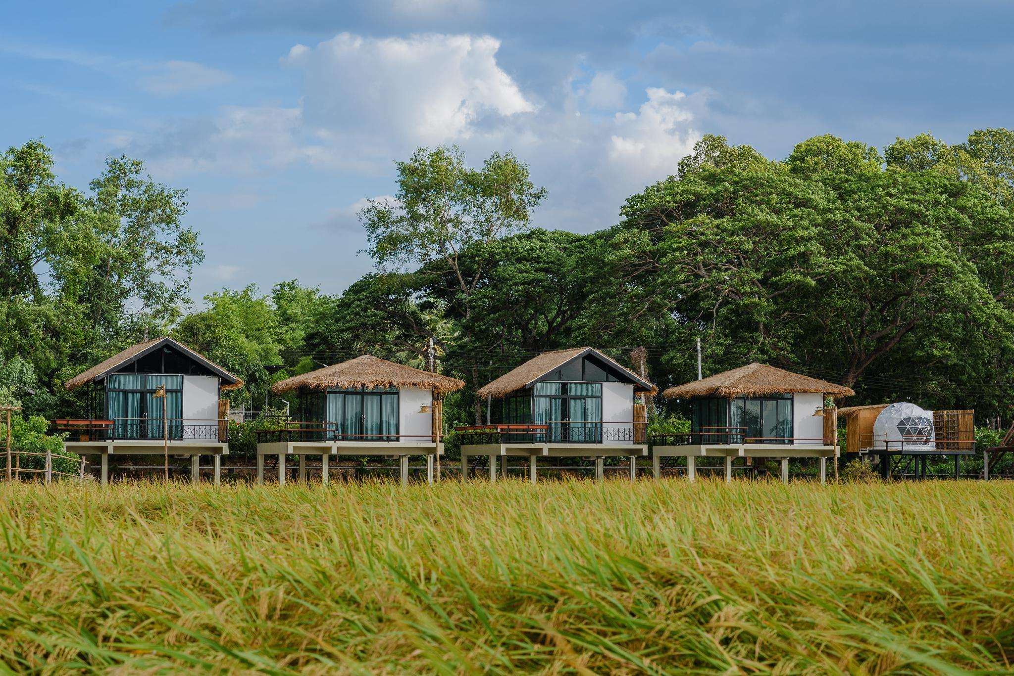 Nornnadubua — Uthai Thani
