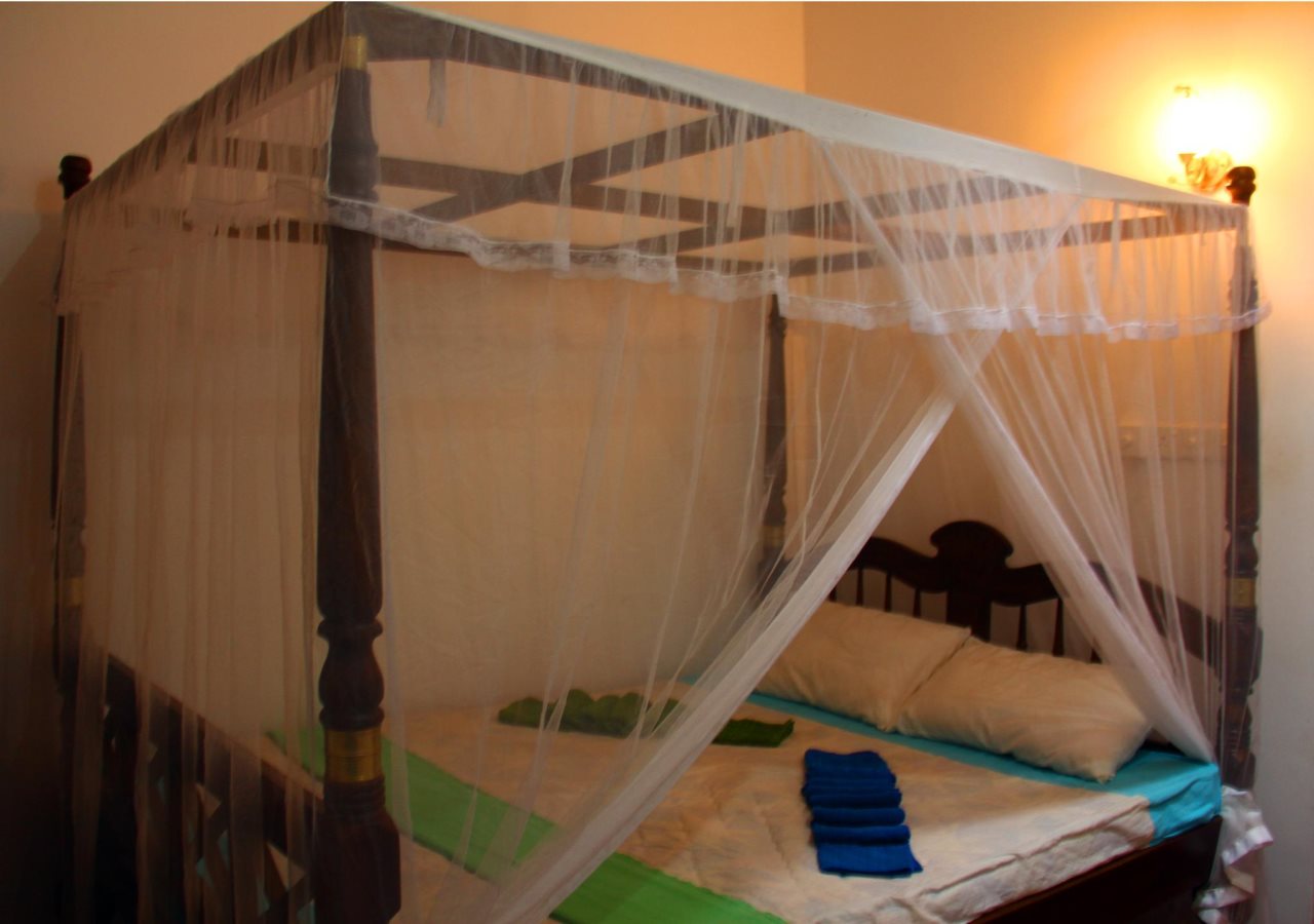 Sun Bird Eco Guest Mirissa — Mirissa City