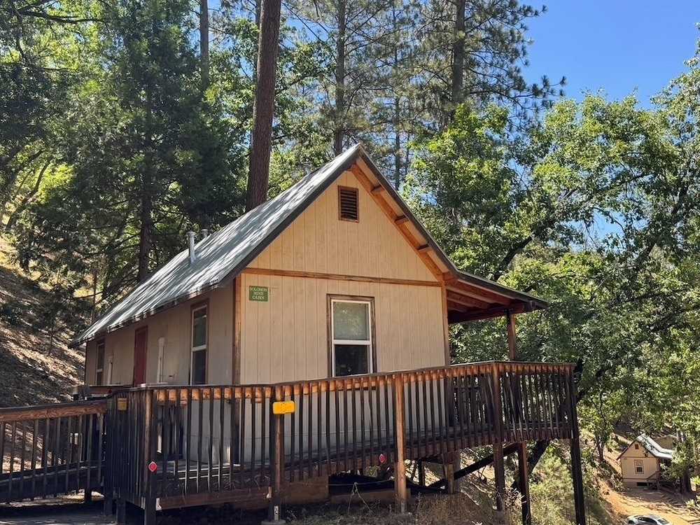 Yosemite Bug Rustic Mountain Resort - photo 134