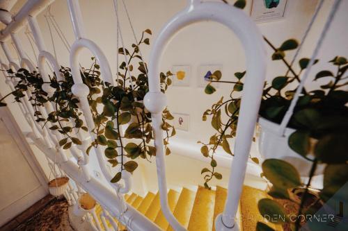 The Hidden Corner in Qui Nhon, Vietnam