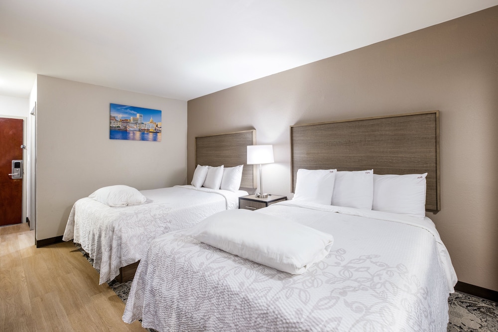 Red Roof Inn PLUS & Suites Savannah I 95 - photo 6